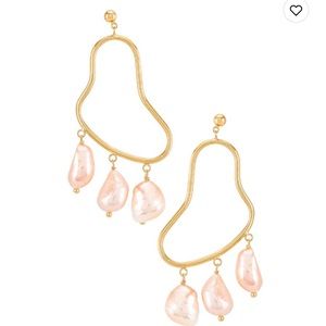 Amber Sceats Drop Earrings - NEVER WORN